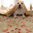 Multi Size Handmade Transitional 100  Wool Botanical Floral Area Rug Beige Sage