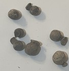 Lot Of 7 Smaller Caliber Musket Balls With Sprues 1600-1800 British Isles