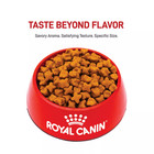 Royal Canin Breed Health Nutrition German Shepherd Adult Dry Dog Food 30lb