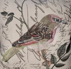 Embroidered Throw Pillow Bird Colorful Indoor outdoor Leaves Print 18x18  Nwot