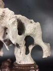  20002 old Chinese Original Suiseki Bonsai Taihu Stone-collect-chinese Art Stone