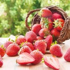 Strawberry Fruit Seeds For Planting Home Garden Outdoor 