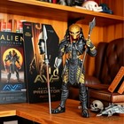 Neca Celtic Predator Avp Alien Vs Predator Series 14action Figure Model Toy 18cm
