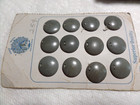 108 Antique Vegetable Ivory Czechoslovakia Buttons 9 Original Cards 3 4 