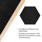 Deep Brood Beehive Frames With Wax Foundation  10 Pack Honey Bee Frames With 100