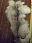 Tanned 36  Long Fur Pelt Hide Soft Natural  Craft Taxidermy Rustic Decor  Fox 