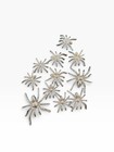 Tarantula Spider Wall Mounts Set Of 12 