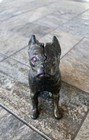 Vintage Cast Iron Bull Dog Still Coin Bank Circa 1900s