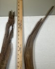 Driftwood 2 Piece Taxidermy Terrarium  Orchid Support Aquarium Art