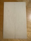 Gibson Girl Hair Woman Multi Poses In Early C1905 Photobooth Photo Sheet