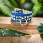 Small Dog puppy Crystal Collars  Fits Neck 6-8   Made In Usa  Premium Quality