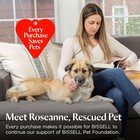 Bissell Pet Pro Oxy Spot   Stain Formula 32 Oz 2034 Portable Carpet Cleaner