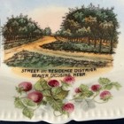 Beaver Crossing Nebraska Souvenir Oval Dish Residential Street Scene Early 1900s