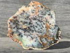 Australian Dendritic Opal 5 x4 5  Agate Jasper Lapidary Rough Slab Cabbing 4