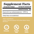 Vitamin B12 Supplement    2000mcg     120 Capsules   Methylcobalamin  Vegan