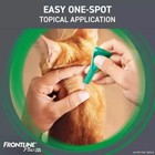 Frontline Plus Flea And Tick Treatment For Cats And Kittens 8 Weeks    6 Doseshi