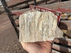       rr        Druzy Red Chalcedony Arizona Petrified Wood 3 5 Lb     