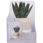 Aroma Accents Fragrance Plug  Snake Plant