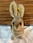 Steiff  sonny  Rabbit 3317 03 Mohair Bunny Raised Script Button   Tag 1968-74