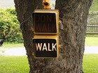 Complete Walk Dont Walk Pedestrian Traffic Light Signal Working
