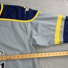 Vintage Walt Disney World Icehounds Hockey Jersey Mens Xl Gray Pluto 30 Adult