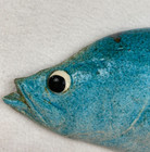 Vtg Mcm Painted Fish Wall Plaque Signed Blue Crappie Bass Hand Painted