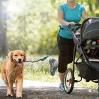 Hands Free Dog Leash For Walking Running Waist Leash With Bungee Adjustable Belt