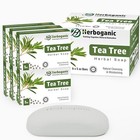Tea Tree Herbal Soap 5oz Natural Cleansing Bar Pack Of 1  3 Or 6 Men   Women