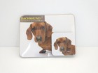 Mouse Pad Coaster Set Tan Brown Dachshund Doxie Wiener Dog Lot