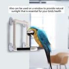 Portable Birds Shower Perch  Parrots Stand With Suction Cups White And Gray 