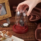 Ph Pandahall 3 X 4 Inch Pocket Watch Display Case Glass Dome Clear 