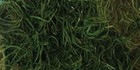 Quality Growers Preserved Spanish Moss 108 5 Cubic Inches-apple Green Qg1542