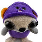 Raccoon Halloween Plush 7  Tall Large Eyes Cat Hat Dan Dee Collectors Choice