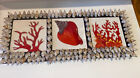 Vintage Framed Seashell   Coral Art