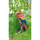 Scarlet blue Parrot Resin Garden Statue Decoration Home Decor Wildlife Animal