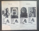 Planet Of The Apes 1968 Original Pressbook Charlton Heston Poster Art Photos 