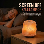Himalayan Salt Lamp With Aromatherapy Tray   Dimmer Switch - Salt Rock Lamp For