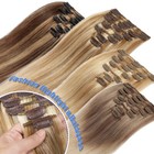 Clearance 100  Remy Human Hair Clip In Real Hair Extensions Full Head 8piece Icy