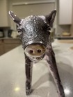 Harry Allen Areaware Pig Bank Pink Chrome