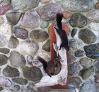 2 Black Squirrels Frolicking In Tree Taxidermy Double Mount  Mancave Cabin Decor