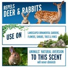 Liquid Fence Deer And Rabbit Repellent Ready-to-use Cover Up To 500 Sq Ft  32 Oz