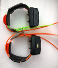 Lot Of 2 Garmin Tt10 Gps Dog Tracking Collar Hunting For Astro320 Alpha100