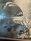 Vintage Manifestations Optical Illusionary Art Gold Sea Fish Framed 18    X 18   