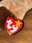 Ty Beanie Babies  bones  The Dog 1993 Plush Toy New Original Tag 8 