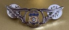 Fam Federal Air Marshal Washington Dc Wings Pinback Lapel Jacket Hat Pin