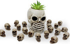 Mini Skull Figurine Miniature Skeleton Head Table Decor halloween Micro Landscap