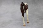 Peter Stone Bay Pinto Stock Horse Pebbles Living Horse Series