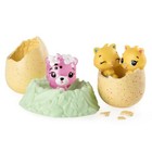 Hatchimals Colleggtibles 2 - Pack   Nest