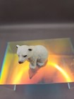 Schleich Polar Bear Cub Sitting 2011 Retired Rare 