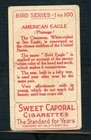 1910 American Tobacco Sweet Caporal Bird Series  t42  American Eagle Card